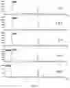 Fig. 07 - BIOCONJUGATION REAGENT AND METHODS