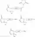 Fig. 130 - BIOCONJUGATION REAGENT AND METHODS