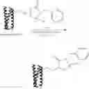 Fig. 141 - BIOCONJUGATION REAGENT AND METHODS