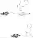 Fig. 145 - BIOCONJUGATION REAGENT AND METHODS