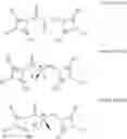 Fig. 106 - COMPOUNDS AND METHODS FOR TREATING ALCOHOL DISORDER