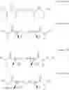 Fig. 17 - COMPOUNDS AND METHODS FOR TREATING ALCOHOL DISORDER