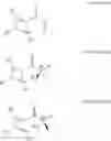 Fig. 56 - COMPOUNDS AND METHODS FOR TREATING ALCOHOL DISORDER