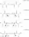Fig. 61 - COMPOUNDS AND METHODS FOR TREATING ALCOHOL DISORDER