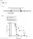 Fig. 05 - Drp1-FILAMIN COMPLEX FORMATION INHIBITORS