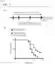 Fig. 06 - Drp1-FILAMIN COMPLEX FORMATION INHIBITORS
