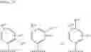 Fig. 21 - Drp1-FILAMIN COMPLEX FORMATION INHIBITORS