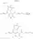 Fig. 35 - Drp1-FILAMIN COMPLEX FORMATION INHIBITORS