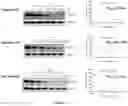Fig. 03 - THERAPEUTIC AGENTS AND METHODS OF TREATMENT