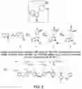 Fig. 06 - METHODS AND MATERIALS FOR INCREASING OR MAINTAINING NICOTINAMIDE MONONUCLEOTIDE ADENYLYL TRANSFERASE-2 (NMNAT2) POLYPEPTIDE LEVELS