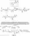 Fig. 08 - METHODS AND MATERIALS FOR INCREASING OR MAINTAINING NICOTINAMIDE MONONUCLEOTIDE ADENYLYL TRANSFERASE-2 (NMNAT2) POLYPEPTIDE LEVELS