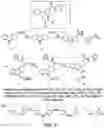 Fig. 10 - METHODS AND MATERIALS FOR INCREASING OR MAINTAINING NICOTINAMIDE MONONUCLEOTIDE ADENYLYL TRANSFERASE-2 (NMNAT2) POLYPEPTIDE LEVELS