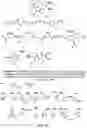Fig. 11 - METHODS AND MATERIALS FOR INCREASING OR MAINTAINING NICOTINAMIDE MONONUCLEOTIDE ADENYLYL TRANSFERASE-2 (NMNAT2) POLYPEPTIDE LEVELS