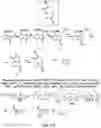 Fig. 14 - METHODS AND MATERIALS FOR INCREASING OR MAINTAINING NICOTINAMIDE MONONUCLEOTIDE ADENYLYL TRANSFERASE-2 (NMNAT2) POLYPEPTIDE LEVELS