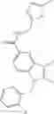 Fig. 318 - METHODS AND MATERIALS FOR INCREASING OR MAINTAINING NICOTINAMIDE MONONUCLEOTIDE ADENYLYL TRANSFERASE-2 (NMNAT2) POLYPEPTIDE LEVELS