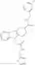 Fig. 447 - METHODS AND MATERIALS FOR INCREASING OR MAINTAINING NICOTINAMIDE MONONUCLEOTIDE ADENYLYL TRANSFERASE-2 (NMNAT2) POLYPEPTIDE LEVELS