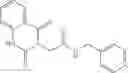 Fig. 573 - METHODS AND MATERIALS FOR INCREASING OR MAINTAINING NICOTINAMIDE MONONUCLEOTIDE ADENYLYL TRANSFERASE-2 (NMNAT2) POLYPEPTIDE LEVELS