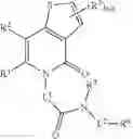 Fig. 596 - METHODS AND MATERIALS FOR INCREASING OR MAINTAINING NICOTINAMIDE MONONUCLEOTIDE ADENYLYL TRANSFERASE-2 (NMNAT2) POLYPEPTIDE LEVELS