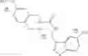 Fig. 81 - METHODS AND MATERIALS FOR INCREASING OR MAINTAINING NICOTINAMIDE MONONUCLEOTIDE ADENYLYL TRANSFERASE-2 (NMNAT2) POLYPEPTIDE LEVELS
