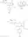 Fig. 228 - New Organic Compounds
