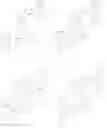 Fig. 262 - NOVEL COMPOUND, ORGANIC ELECTROLUMINESCENCE DEVICE AND ELECTRONIC APPARATUS