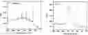 Fig. 01 - MULTIFUNCTIONALIZED SILICON NANOPARTICLES, PROCESS FOR THEIR PREPARATION AND USES THEREOF IN ELECTROCHEMILUMINESCENCE BASED DETECTION METHODS