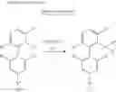 Fig. 16 - Production method of biarylphosphine