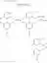 Fig. 18 - Production method of biarylphosphine
