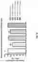 Fig. 43 - METHODS OF TREATING NEUROCOGNITIVE DISORDERS, CHRONIC PAIN AND REDUCING INFLAMMATION