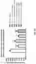 Fig. 48 - METHODS OF TREATING NEUROCOGNITIVE DISORDERS, CHRONIC PAIN AND REDUCING INFLAMMATION