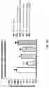 Fig. 50 - METHODS OF TREATING NEUROCOGNITIVE DISORDERS, CHRONIC PAIN AND REDUCING INFLAMMATION