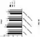 Fig. 61 - METHODS OF TREATING NEUROCOGNITIVE DISORDERS, CHRONIC PAIN AND REDUCING INFLAMMATION