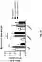 Fig. 68 - METHODS OF TREATING NEUROCOGNITIVE DISORDERS, CHRONIC PAIN AND REDUCING INFLAMMATION