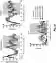Fig. 70 - METHODS OF TREATING NEUROCOGNITIVE DISORDERS, CHRONIC PAIN AND REDUCING INFLAMMATION