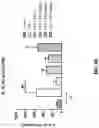 Fig. 78 - METHODS OF TREATING NEUROCOGNITIVE DISORDERS, CHRONIC PAIN AND REDUCING INFLAMMATION