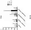 Fig. 82 - METHODS OF TREATING NEUROCOGNITIVE DISORDERS, CHRONIC PAIN AND REDUCING INFLAMMATION