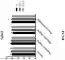 Fig. 85 - METHODS OF TREATING NEUROCOGNITIVE DISORDERS, CHRONIC PAIN AND REDUCING INFLAMMATION