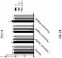 Fig. 86 - METHODS OF TREATING NEUROCOGNITIVE DISORDERS, CHRONIC PAIN AND REDUCING INFLAMMATION