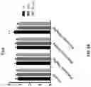 Fig. 88 - METHODS OF TREATING NEUROCOGNITIVE DISORDERS, CHRONIC PAIN AND REDUCING INFLAMMATION