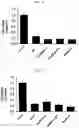 Fig. 02 - Nucleic acid compound and oligonucleotide