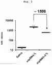 Fig. 03 - Nucleic acid compound and oligonucleotide