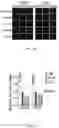 Fig. 03 - COMPOUNDS FOR TARGETED THERAPIES OF CASTRATION RESISTANT PROSTATE CANCER
