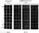 Fig. 07 - COMPOUNDS FOR TARGETED THERAPIES OF CASTRATION RESISTANT PROSTATE CANCER