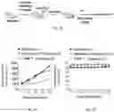 Fig. 10 - COMPOUNDS FOR TARGETED THERAPIES OF CASTRATION RESISTANT PROSTATE CANCER