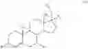 Fig. 11 - COMPOUNDS FOR TARGETED THERAPIES OF CASTRATION RESISTANT PROSTATE CANCER