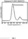 Fig. 05 - Self-assembling protein nanostructures displaying paramyxovirus and/or pneumovirus F proteins and their use