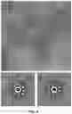 Fig. 06 - Self-assembling protein nanostructures displaying paramyxovirus and/or pneumovirus F proteins and their use