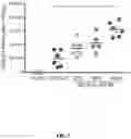 Fig. 10 - Self-assembling protein nanostructures displaying paramyxovirus and/or pneumovirus F proteins and their use
