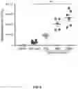 Fig. 11 - Self-assembling protein nanostructures displaying paramyxovirus and/or pneumovirus F proteins and their use
