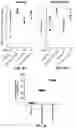 Fig. 12 - Self-assembling protein nanostructures displaying paramyxovirus and/or pneumovirus F proteins and their use